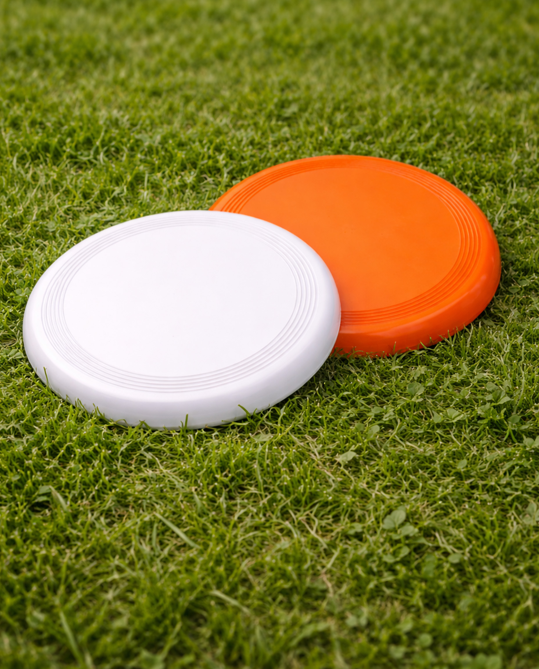 MV01 - Frisbee - Imagen 4