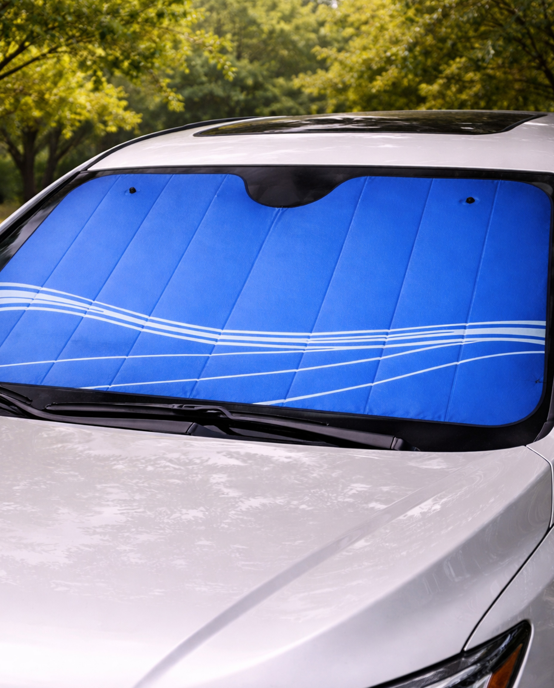 MV05 - Tapasol de Carton - Imagen 2